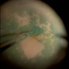 Image for Surgical Cockpits