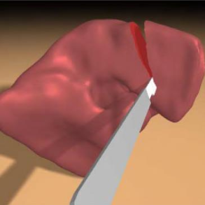 Image for Virtual Scalpel