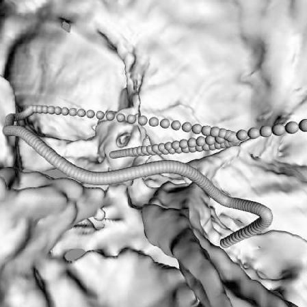 Image for Virtual Voyage