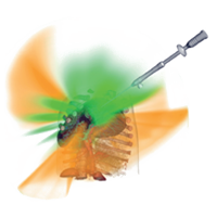 Image for Crepuscular Rays